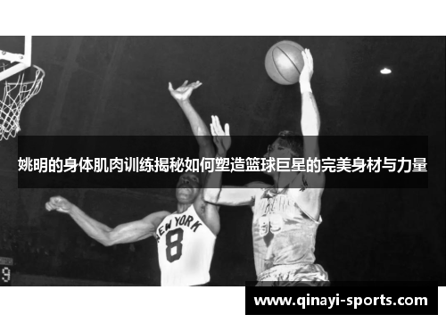 姚明的身体肌肉训练揭秘如何塑造篮球巨星的完美身材与力量